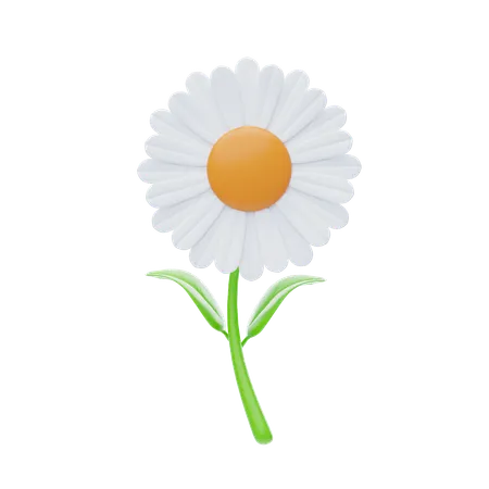 Daisy  3D Icon