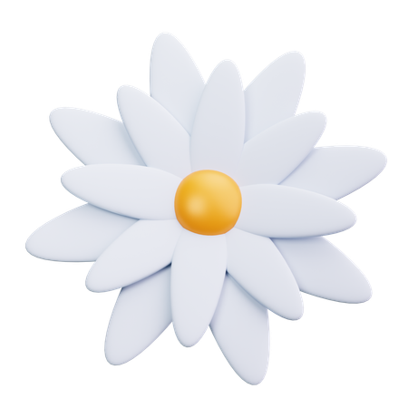 Daisy  3D Icon