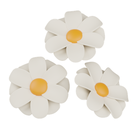 Daisy  3D Icon