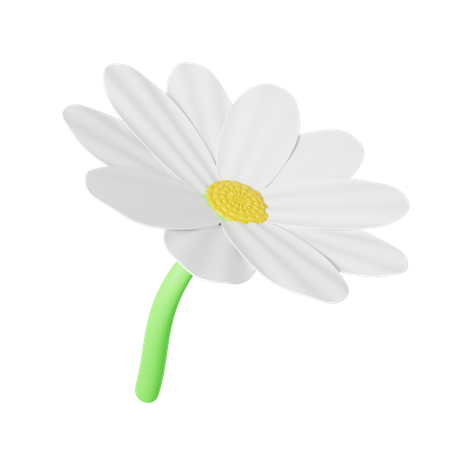 Daisy 3D Illustration