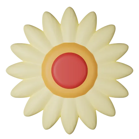 Daisy  3D Icon