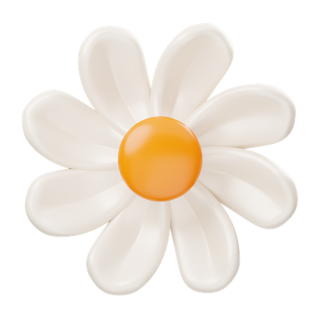 Daisy Flower  3D Icon
