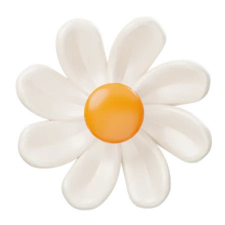 Daisy Flower  3D Icon