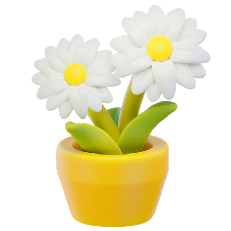 Daisy Flower  3D Icon