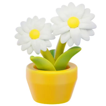 Daisy Flower  3D Icon