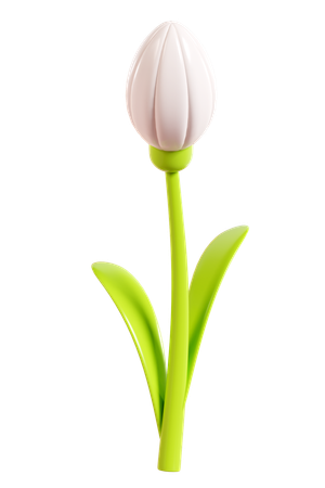 Daisy Flower  3D Icon