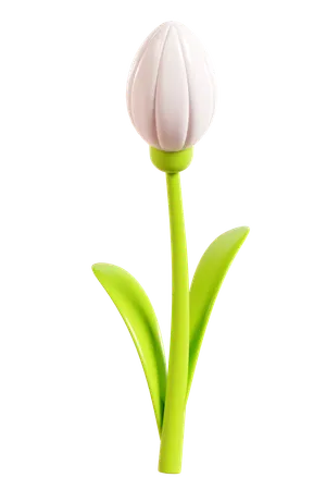Daisy Flower  3D Icon