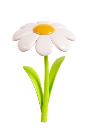Daisy Flower  3D Icon