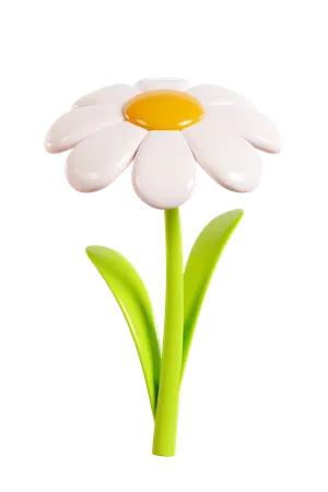 Daisy Flower  3D Icon