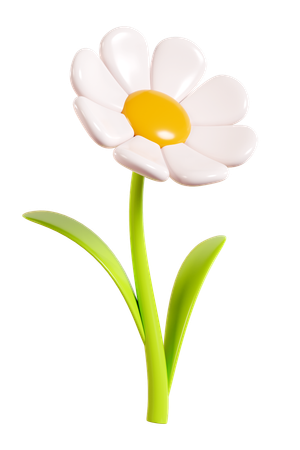 Daisy Flower  3D Icon