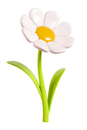 Daisy Flower  3D Icon