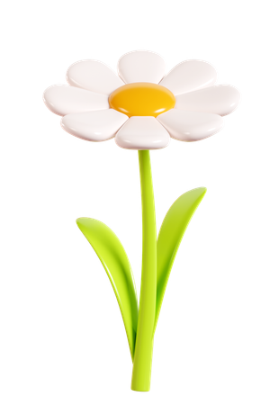 Daisy Flower  3D Icon