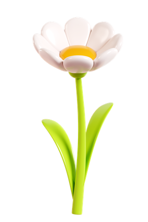 Daisy Flower  3D Icon