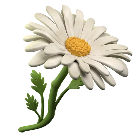 Daisy Flower  3D Icon