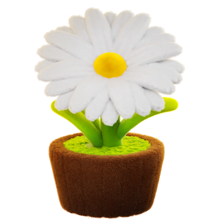 Daisy Flower  3D Icon