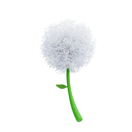 Dandelion  3D Icon