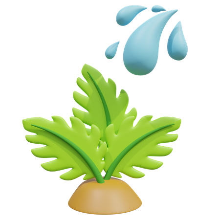 Dar agua a la planta  3D Icon