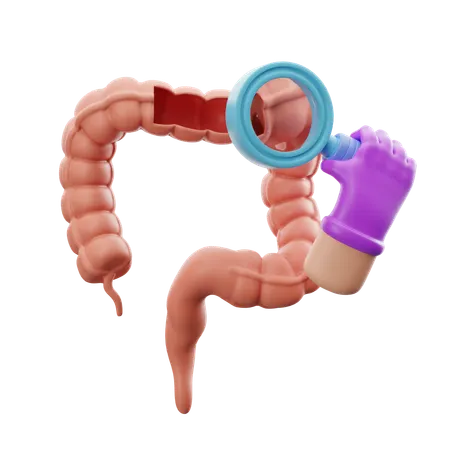 Darmuntersuchung  3D Icon