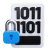 Data Encryption