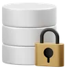 Database Lock