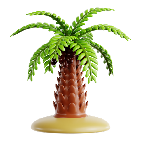 Date Palm  3D Icon