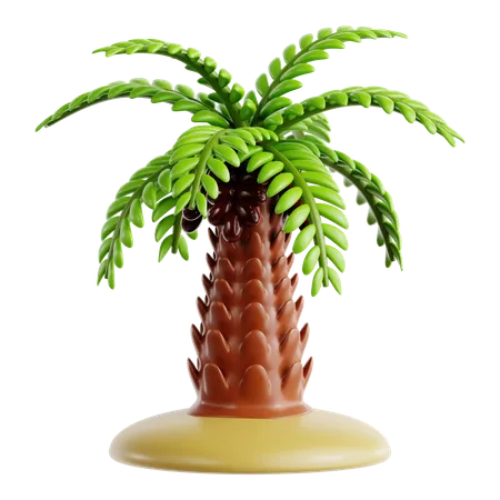 Date Palm  3D Icon