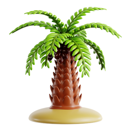 Date Palm  3D Icon