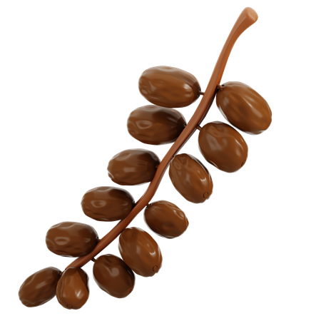 Dates Branch  3D Icon