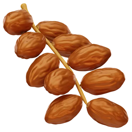 Dates Fruit  3D Icon