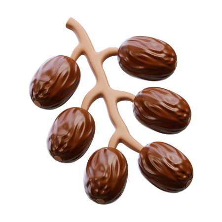 Dates Fruit  3D Icon