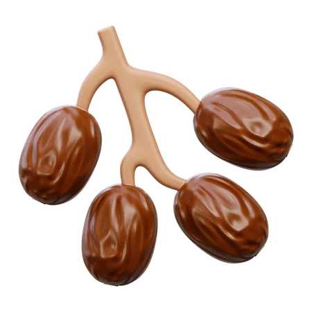 Dates Fruit  3D Icon