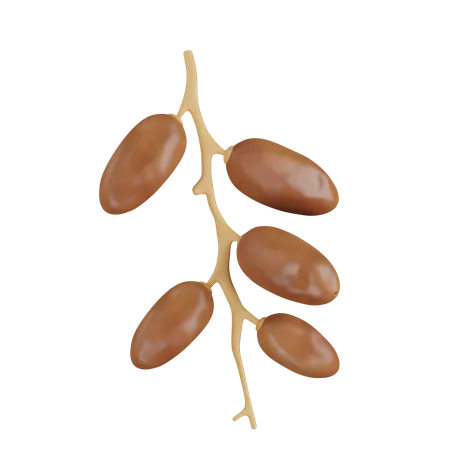 Dates Fruit on Branch  3D Icon