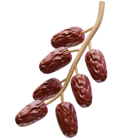 Dates Fruit on Branch  3D Icon