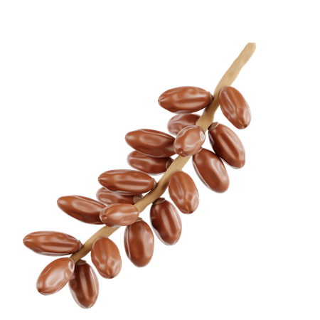 Dates Fruit On Branch  3D Icon
