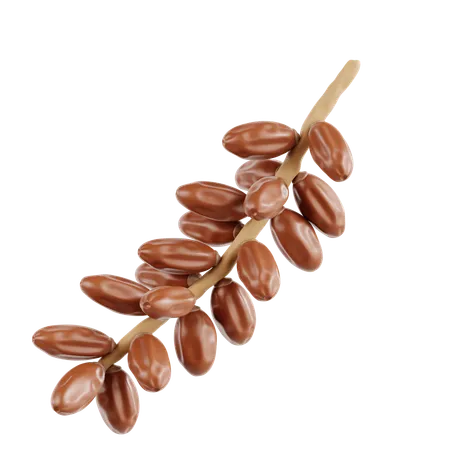 Dates Fruit On Branch  3D Icon