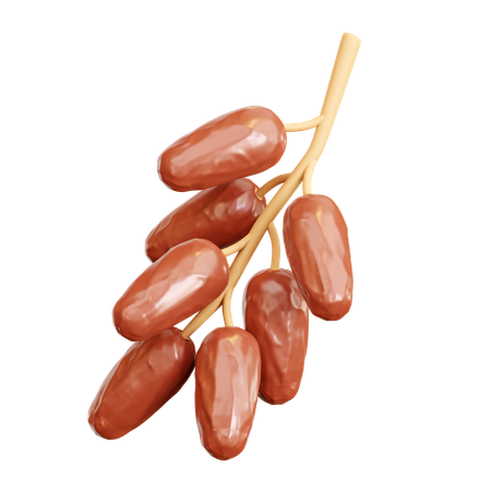 Dates Fruit on Branch  3D Icon