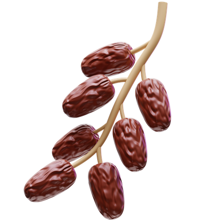 Dates Fruit on Branch  3D Icon