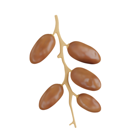 Dates Fruit on Branch  3D Icon