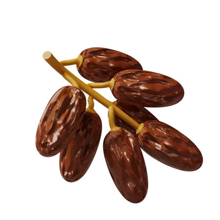 Dates on a branch  3D Icon