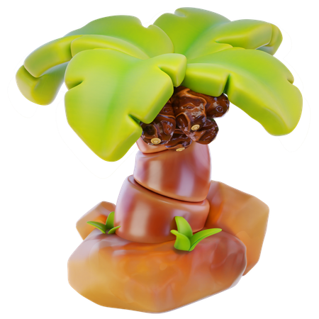 Dates palm tree  3D Icon