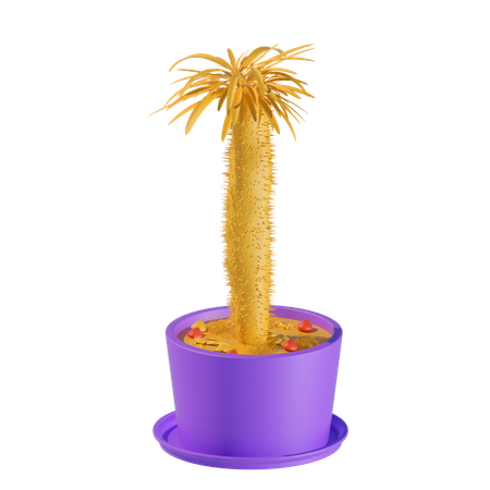 Dattelpalme  3D Icon