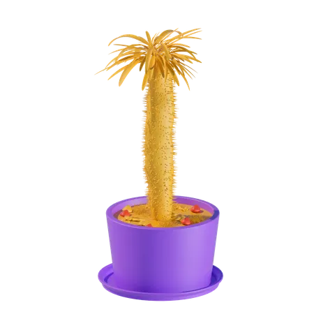 Dattelpalme  3D Icon