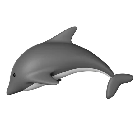 Dauphin  3D Icon