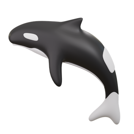 Dauphins  3D Icon