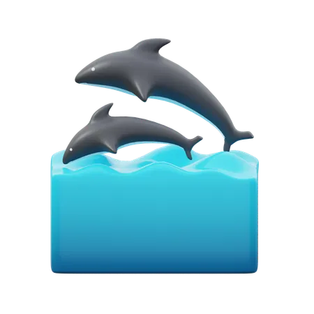 Dauphins  3D Icon