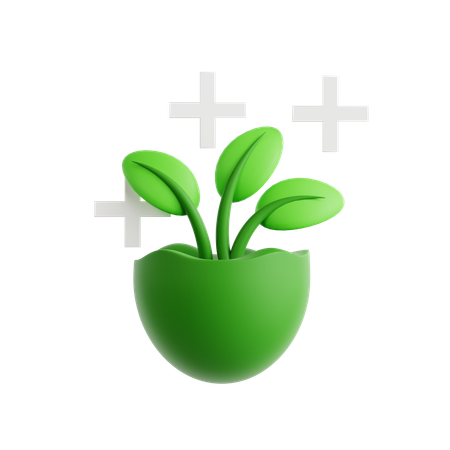Deckfrüchte  3D Icon