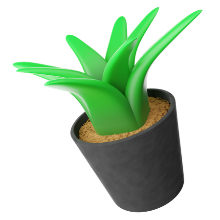 Decoração de plantas  3D Icon