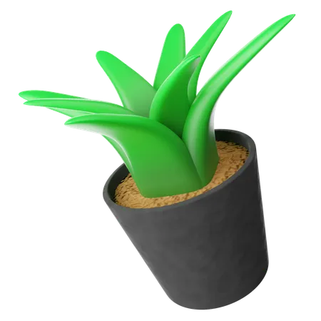 Decoração de plantas  3D Icon