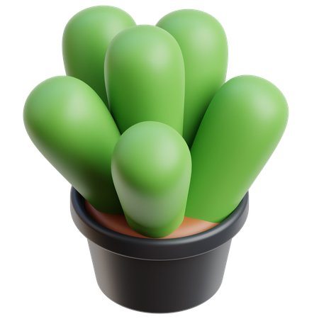 Decorative Plant  3D Icon