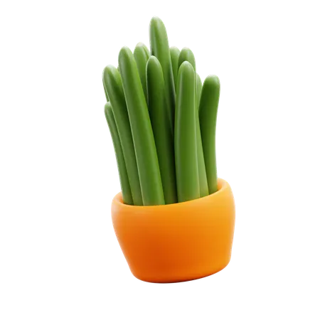 Decorative Plant  3D Icon